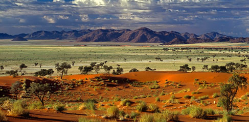 Сюрреалистические пейзажи Намибии