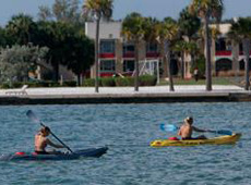 Летние каникулы в языковой школе ELS Eckerd College. Флорида, США