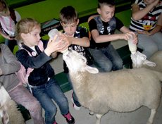 Обучение в Британской школе Kingsley School, North Devon, Bideford, Великобритания