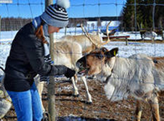 достопримечательности финляндии