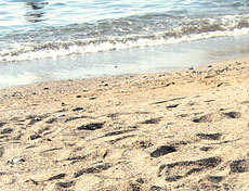 Бечичи - песчаный пляж в Черногории