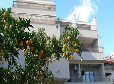 Отель Pima окружен цитрусовыми
