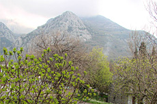 Отель Korali в Черногории находится в парке 