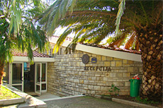 Красивые пальмы бросают тень на территорию отеля Oliva