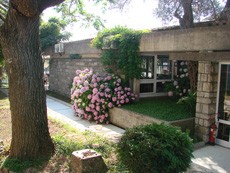 Вилла Oliva в Петроваце окружена цветами и деревьями