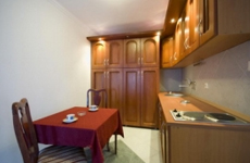 Полностью оборудованная кухня в номере апарт-отеля "Адрович"