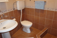 Унитаз, душ и раковина в ванной комнате апартамента