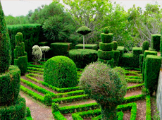 Сады Португалии