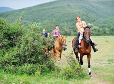 На лошадях в Крыму