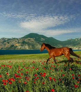 Восточный берег Крыма
