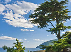 Алушта — город в Крыму, курорт