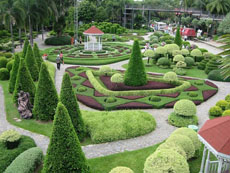Тропический сад, nong nooch, таиланд, паттайя