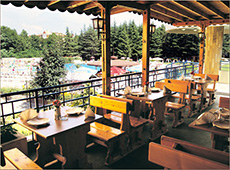 Ресторан отеля «Континенталь»