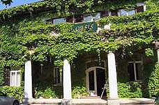 Отель "Оазис" утопает в зелени