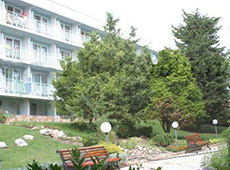 Лесопарк окружает здание отеля