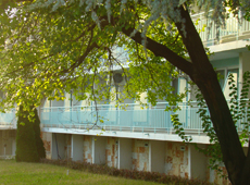 Отель, окруженный зеленью, подходит для семейного отдыха в Болгарии