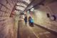 В туннелях Лондона откроется первая в мире подземная ферма с экскурсиями