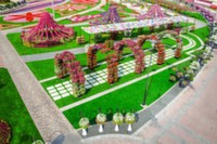 В Дубае открылся цветочный сад Miracle Garden